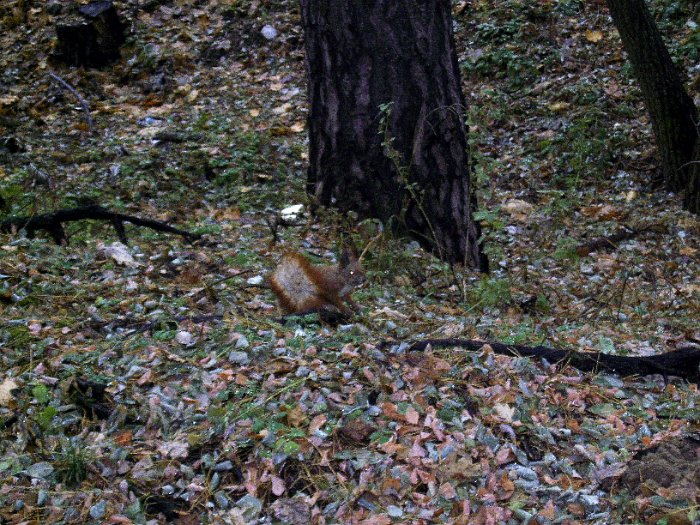PIC_0097
