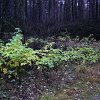 PIC_0054