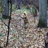 PIC_0075