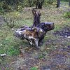 PIC_0084