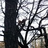 PIC_0095