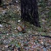 PIC_0097