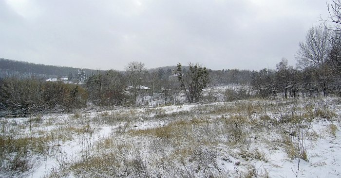 PIC_0003