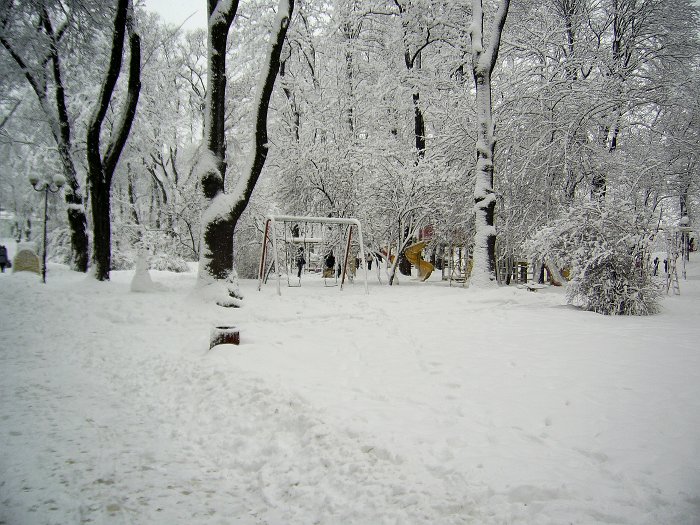 PIC_0056
