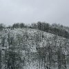 PIC_0017