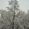 PIC_0032