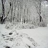 PIC_0034