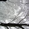 PIC_0035
