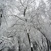 PIC_0037