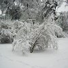 PIC_0038