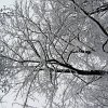 PIC_0041