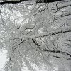 PIC_0043