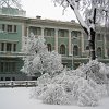 PIC_0044