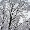 PIC_0051