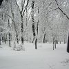 PIC_0052
