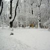 PIC_0056