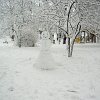 PIC_0058