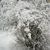 PIC_0059