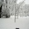 PIC_0065