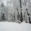 PIC_0081