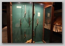 Музей Арсенал. Львов. Июль, 2009. / Arsenal Museum. Lviv. July, 2009.