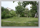 Фотографии природы. Лето 2009 / Nature photos. Summer  2009.